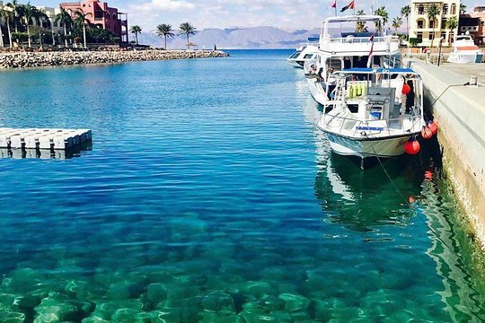 صورة الجولة 1
