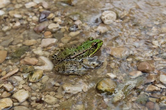Tour image 11