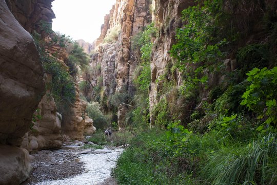 Tour image 12
