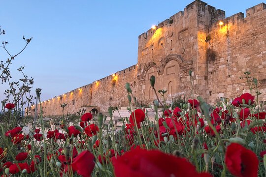 صورة الجولة 12